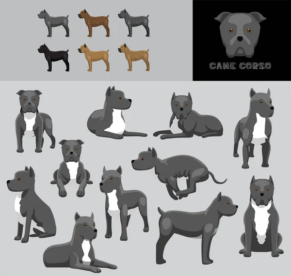 Dog Cane Corso Cartoon Vector Ilustração Cor Variação Set Azul —  Vetores de Stock