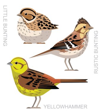 Şirin kuş, küçük kiraz kuşu, sarı çekiç, çizgi film vektörü.