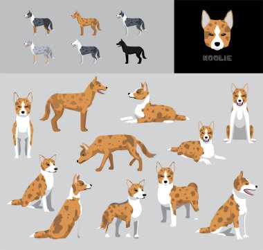 Köpek Koolie Çizgi Film Vektör Resimleri Renk Çeşitlemesi Kırmızı Ceket Ayarları