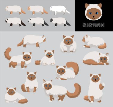 Kedi Birman Kahverengi Ceket Çizgi Filmi Vektör Çizim Renk Çeşitlemesi Ayarları