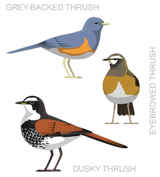 Niedlichen Vogel Dusky Thrush Set Cartoon Vector — Stockvektor