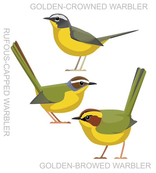 Cute Bird Golden Warbler Set Cartoon Vector — Vetor de Stock
