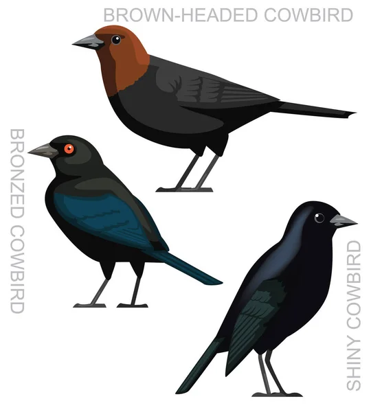 Roztomilý Pták Lesklý Pták Set Karikatura Vektor — Stockový vektor