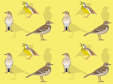 Kuş Amerikan Pipit Şirin Çizgi Filmi Kusursuz Duvar Kağıdı Arkaplanı