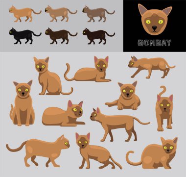 Kedi Bombay Çizgi Filmi Vektör Resimlendirme Renk Çeşitlendirme Kümesi Kahverengi Ceket