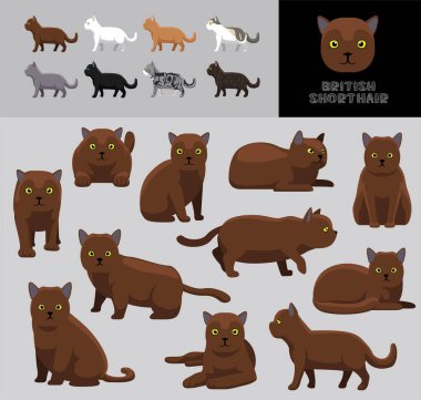 Cat British Shorthair Çizgi Film Vektör Görüntü Renk Çeşitlemesi Kırmızı Ceket Ayarları
