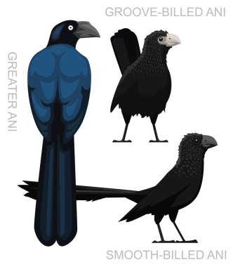 Şirin Kuş Ani Çizgi film Vektörü