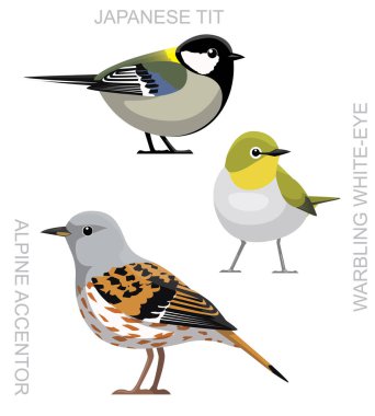 Cute Bird Japanese Tit Accentor White-eye Set Cartoon Vector