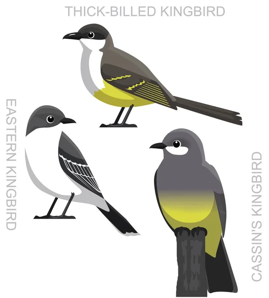 Roztomilý Pták Východní Kingbird Set Cartoon Vector — Stockový vektor
