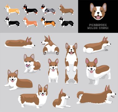 Dog Pembroke Galsh Corgi Kahverengi Bej Ceket Çizgi Film Vektör Renk Çeşitlendirme Seti