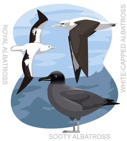 Lindo Pájaro Real Albatros Conjunto Dibujos Animados Vector — Vector de stock