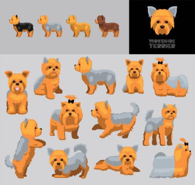 Dog Yorkshire Teriyer Çizgi Filmi Mavi Ceket Vektör Resimleri Renk Değişikliği Ayarları