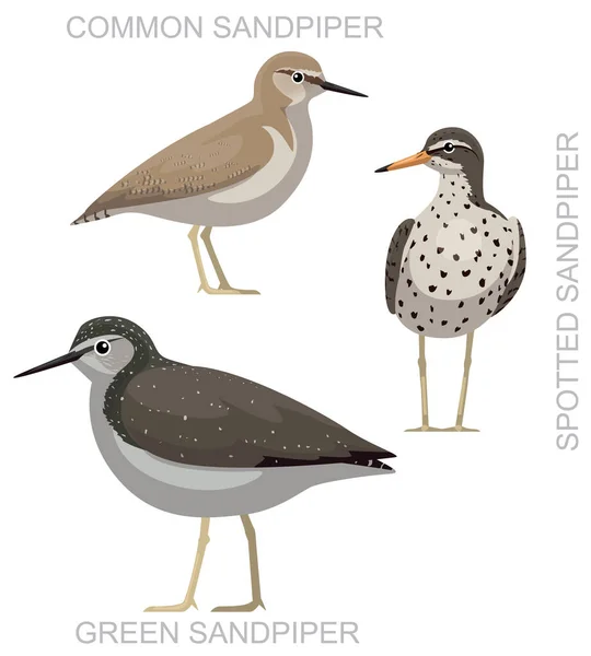 Cute Bird Common Sandpiper Set Cartoon Vector — Stock Vector