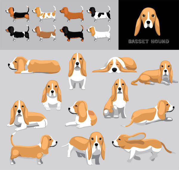 Dog Basset Hound Lemon Coat Cartoon Vector Illustration Color Variation Set