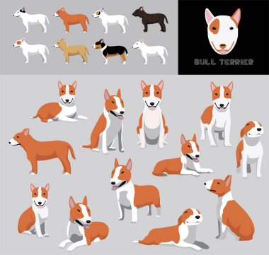 Köpek Chow Chow Çizgi Filmi Vektör Resimleri Renk Değişikliği Çikolata Ceket Ayarları