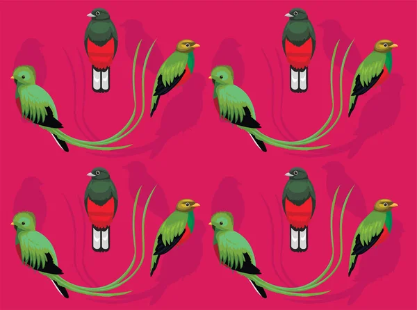 Fågel Quetzal Tecknad Sömlös Bakgrund — Stock vektor