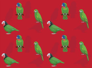 Kuş Papağanı Küba Amazon Çizgi Filmi Kusursuz Duvar Kağıdı Arkaplanı