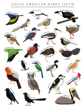 South American Birds Set Cartoon Vector Character 3 clipart