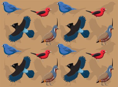 Kuş Bıldırcın Jay Tanager Bunting Karikatür Kusursuz Duvar Kağıdı Arkaplanı