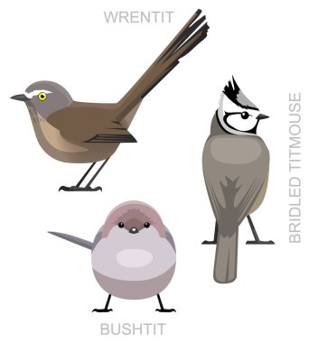 Şirin Kuş Bushtit Kıvrımlı Titmouse Çizgi film Vektörü
