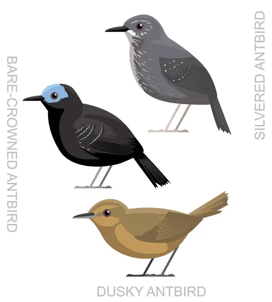 Cute Bird Antbird Set Cartoon Vector — Stock Vector