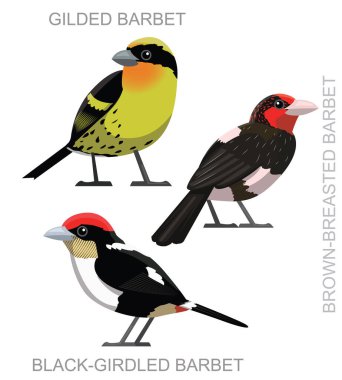 Şirin Kuş Yeni Dünya Barbet Set Çizgi Film Vektörü