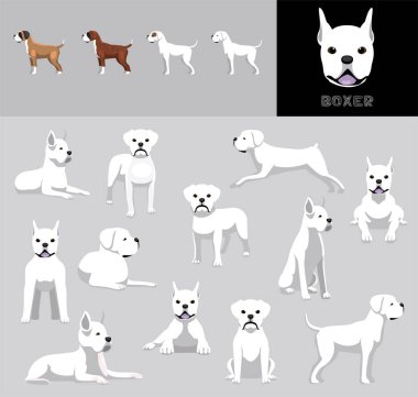 Köpek Boksörü Beyaz Ceket Çizgi Filmi Vektör Çizim Rengi Değişikliği Ayarları