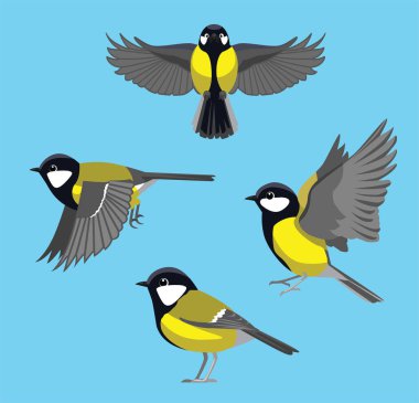 Bird Great Tit Flying Various Poses Cute Cartoon Vector clipart