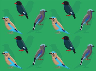 Kuş Yuvarlak Dolarkuş Çizgi Filmi Sevimli Kusursuz Duvar Kağıdı Arkaplanı