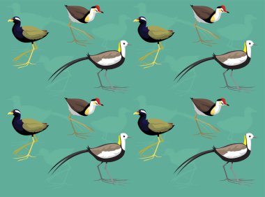 Kuş Jacana Çizgi Filmi Sevimli Kusursuz Duvar Kağıdı Arkaplanı
