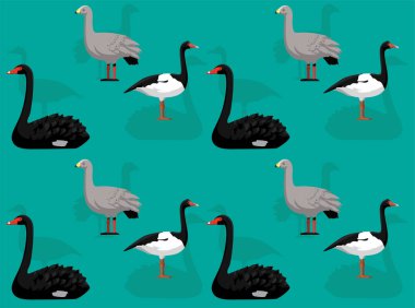 Kuş Saksağanı Siyah Kuğu Avustralya Çizgi Filmi Kusursuz Duvar Kağıdı Arkaplanı