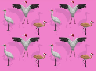 Kuş Turna Sarus Sandhill Brolga Çizgi Film Şirin Kusursuz Duvar Kağıdı Arkaplanı