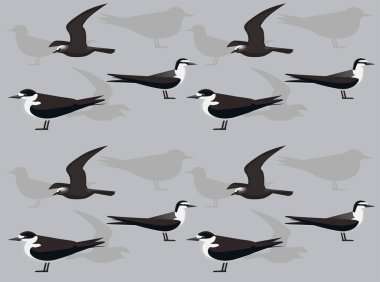 Bird Sooty Tern Noddy Çizgi Film Şirin, Kusursuz Duvar Kağıdı Arkaplanı