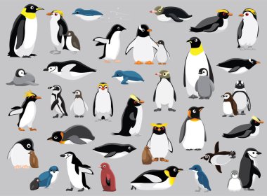 Penguen Kasabası Çeşitli Tür Vektörü İllüstrasyonu