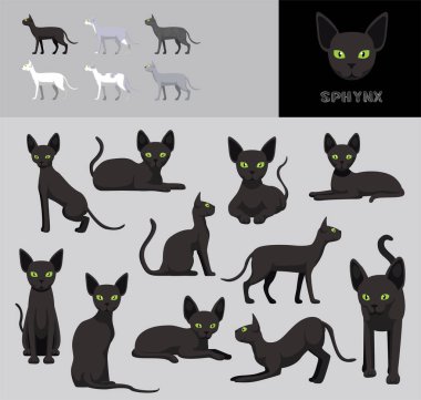 Cat Sphynx Siyah Ceket Çizgi Filmi Vektör Çizim Rengi Değişikliği Ayarları