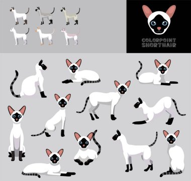 Kedi Renk Noktası Kısa Yüzlü Siyah Çizgi Film Vektör Çizim Rengi Değişikliği Ayarları