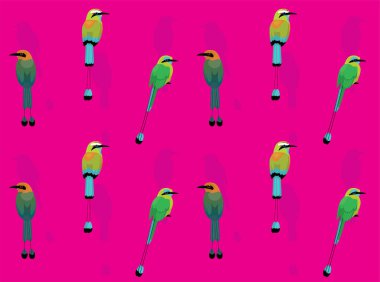 Kuş Motmot Şirin Kusursuz Duvar Kağıdı Arkaplanı