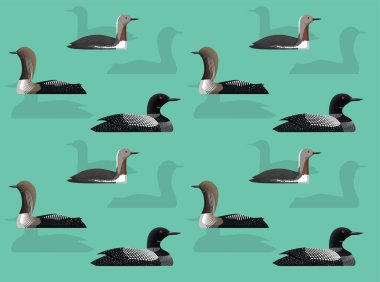 Kuş Ahmağı Şirin Kusursuz Duvar Kağıdı Arkaplanı