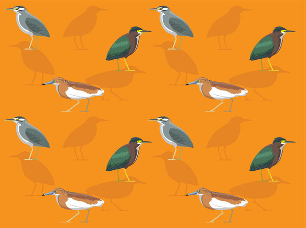 Bird Squacco Green Heron Cute Seamless Wallpaper Background