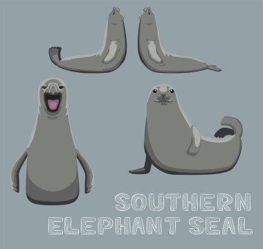 Southern Elephant Seal Cartoon Vector Illustration clipart
