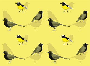 Kuş Çimeni Muz Çıkışı Şirin Kusursuz Duvar Kağıdı Arkaplanı