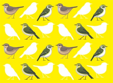 Bird Dusky Warbler Çizgi Filmi Sevimli, Kusursuz Duvar Kağıdı Arkaplanı