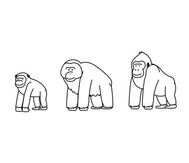 Maymun çizgi filmi Minimum Orangutan Şempanze Goril Doodle Karakteri