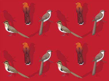 Kuş Küçük Guguk Kuşu Çizgi Filmi Sevimli Kusursuz Duvar Kağıdı Arkaplanı