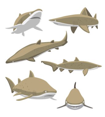 Kum Kaplan Köpekbalığı Çizgi Filmi Karakteri