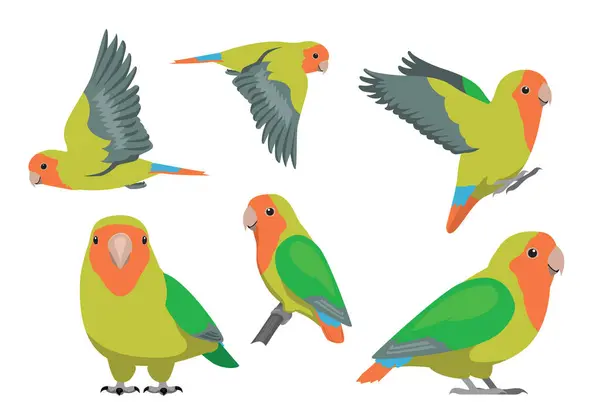 Stock vector Animal Cartoon Bird Parrot Rosy-Faced Lovebird Poses Vector Illustration