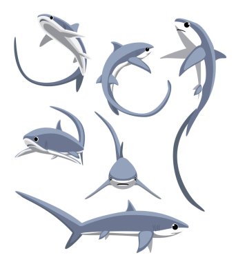 Harman Köpekbalığı Çizgi Film Karakteri Durdurdu