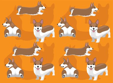 Köpek Pembroke Galli Corgi Kahverengi Ceketli Şirin Dikensiz Duvar Kağıdı Arkaplanı