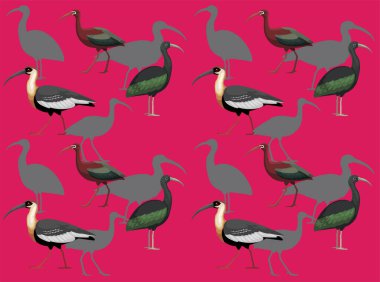 Kuş Yeşil Ibis Çizgi Filmi Sevimli Kusursuz Duvar Kağıdı Arkaplanı