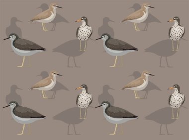 Kuş Yaygın Çulluk Çizgi Filmi Sevimli Kusursuz Duvar Kağıdı Arkaplanı